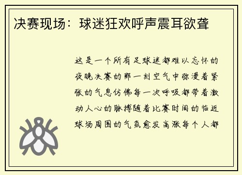 决赛现场：球迷狂欢呼声震耳欲聋